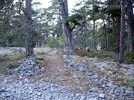 stigen stigen