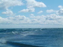 Grenen Grenen